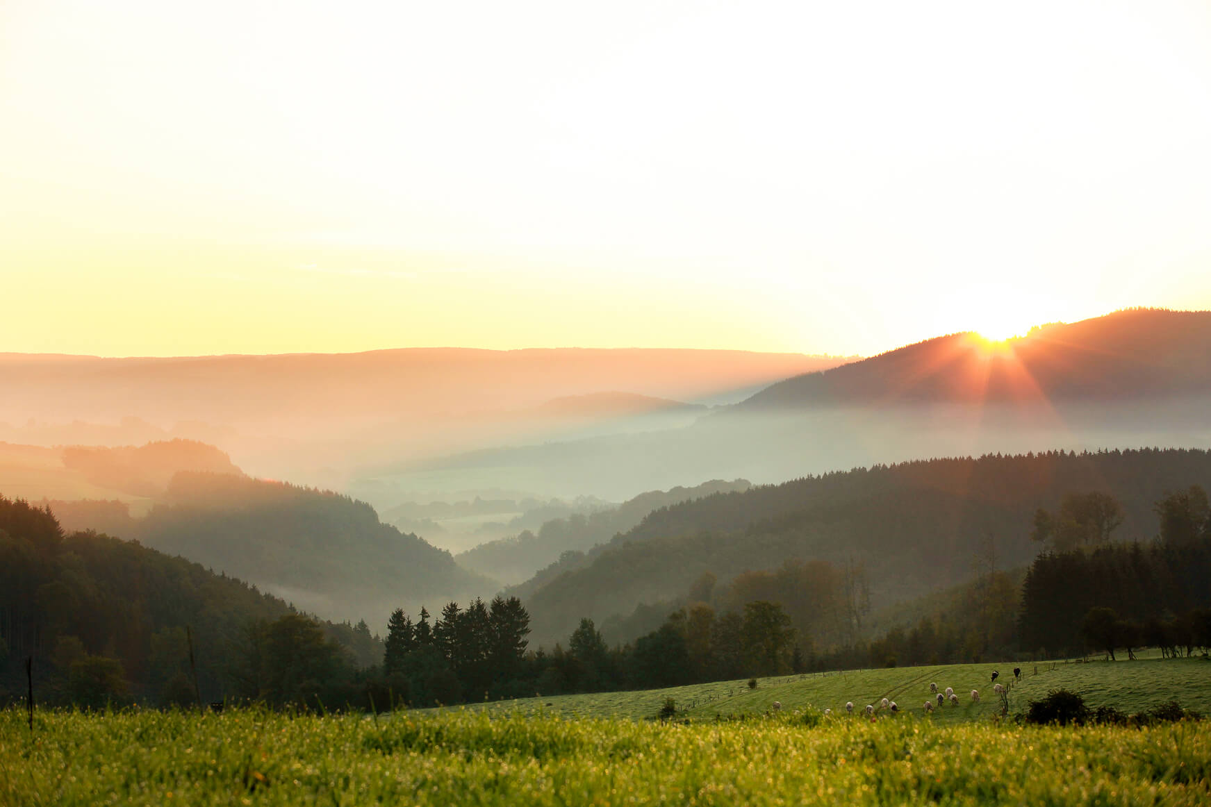 Accueil - Chèque Waloco - photo 26